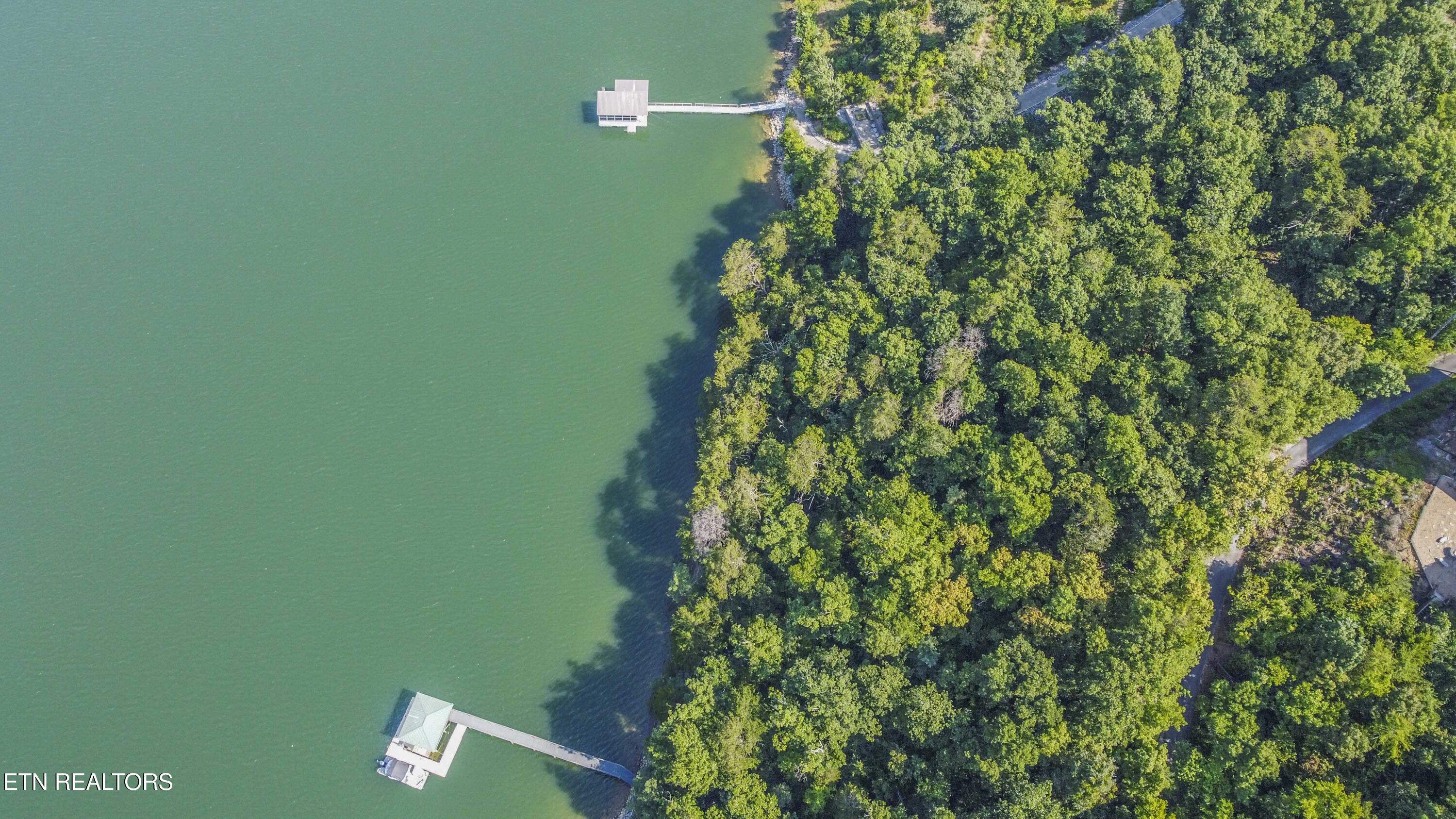 Fishtail Cove Dandridge, TN 37725 - Photo 9 of 15 drone 3_1