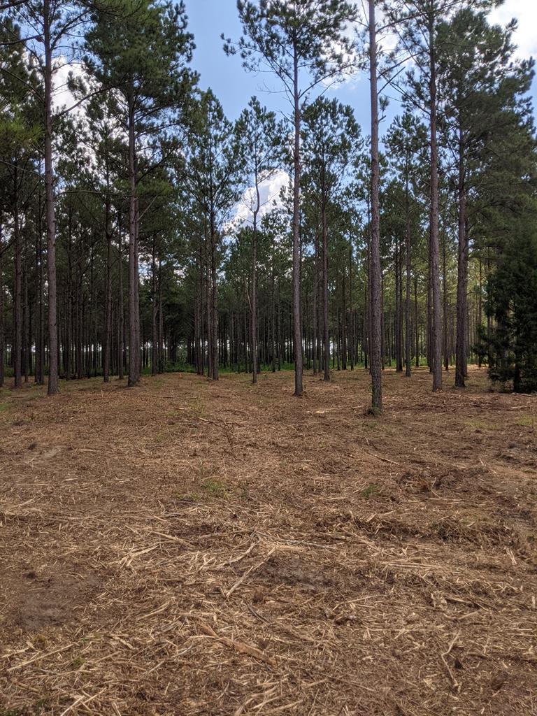 509 Lucy Grade Road Dothan, AL 36301 - Photo 15 of 19