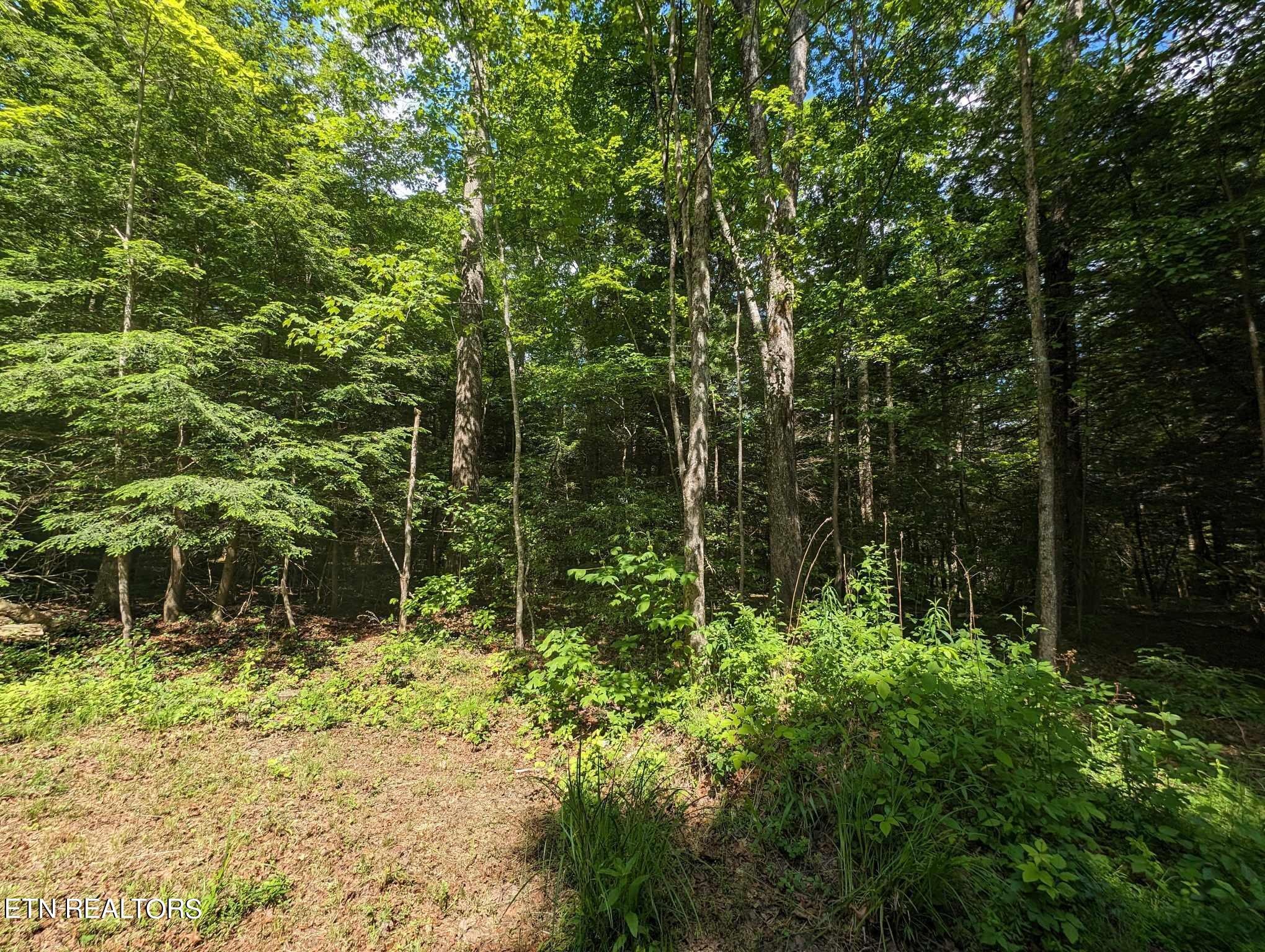 307 Short Cooper Road Jamestown, TN 38556 - Photo 37 of 49 Gallery Image 37