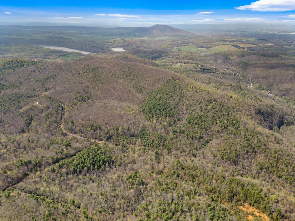 96-ac Cole Mountain Road, Unit 41 Hiwassee, VA 24347 - Photo 37 of 66 Gallery Image 37