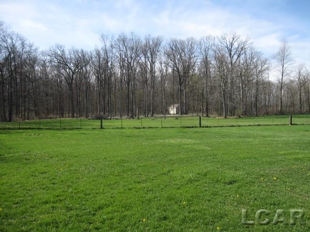 1651 Shepherd Road Tecumseh, MI 49286 - Photo 30 of 32 View of Back