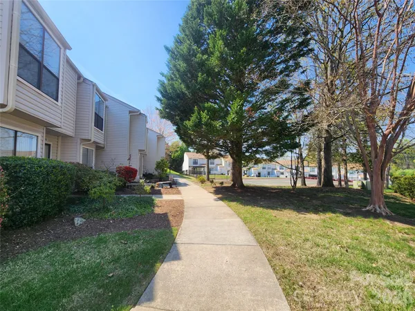 a view of a yard with plants and trees