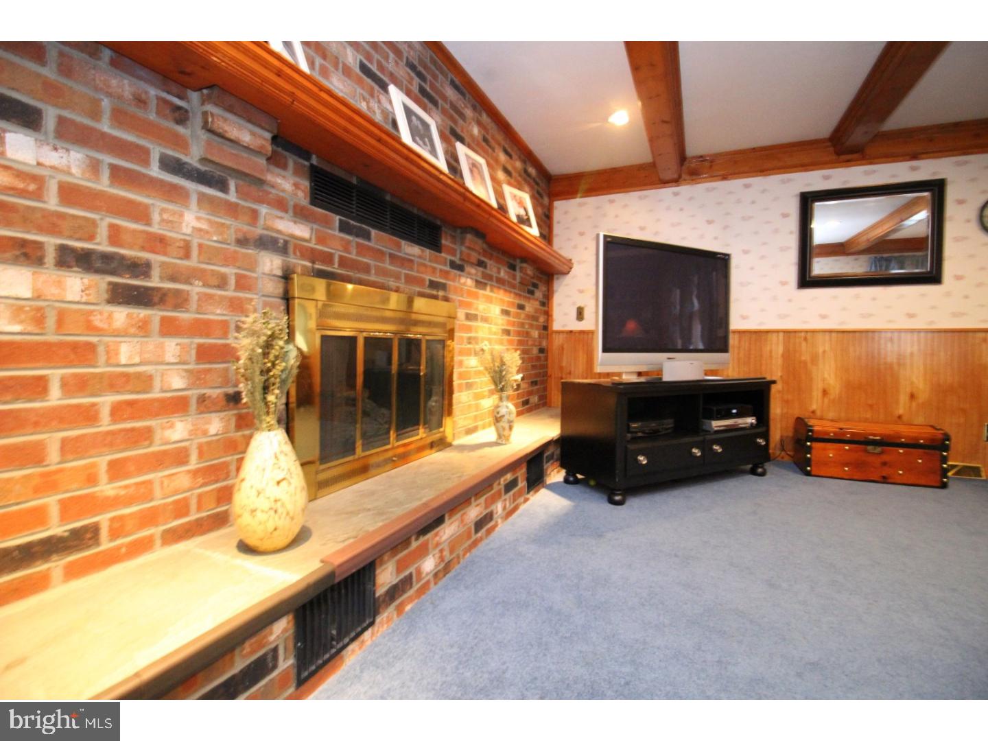 138 North Hunter Forge Road Newark, DE 19713 - Photo 11 of 25 Fireplace