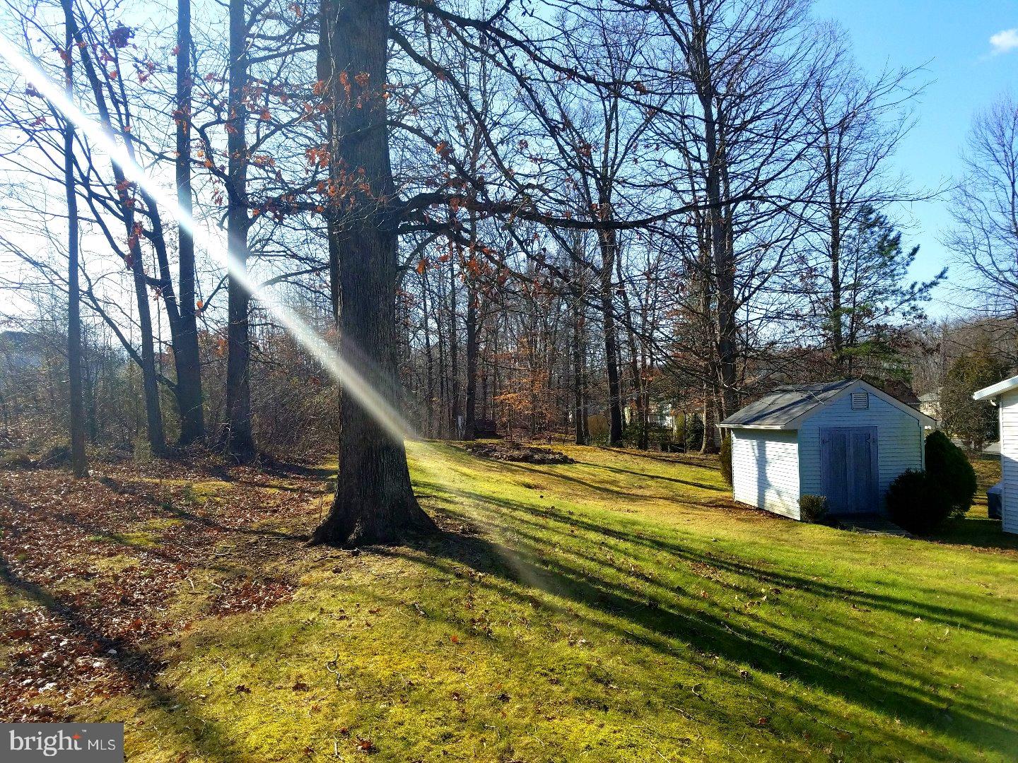 138 North Hunter Forge Road Newark, DE 19713 - Photo 24 of 25 Back Yard