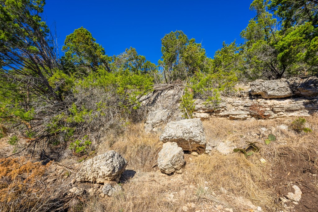 0 Keese Road Fredericksburg, TX 78624 - Photo 5 of 11
