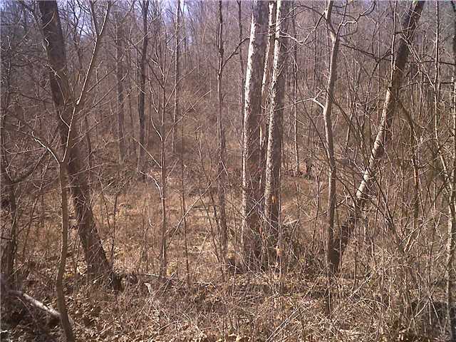 0 Township Rd Mount Mount Perry, OH 43760 - Photo 4 of 11