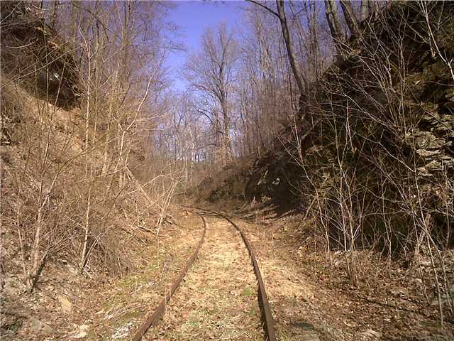 0 Township Rd Mount Mount Perry, OH 43760 - Photo 5 of 11