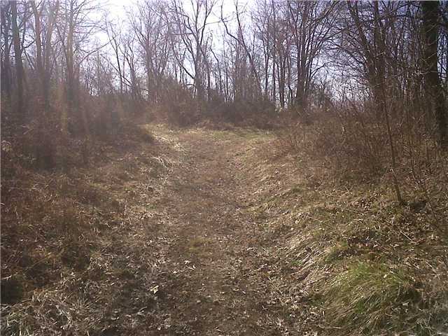 0 Township Rd Mount Mount Perry, OH 43760 - Photo 6 of 11