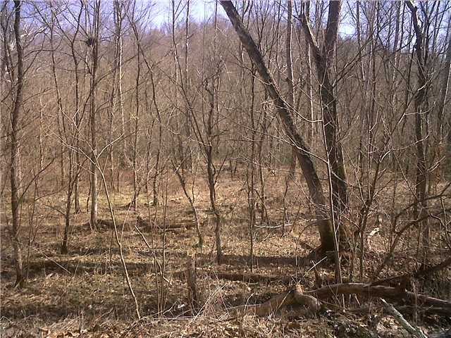 0 Township Rd Mount Mount Perry, OH 43760 - Photo 8 of 11