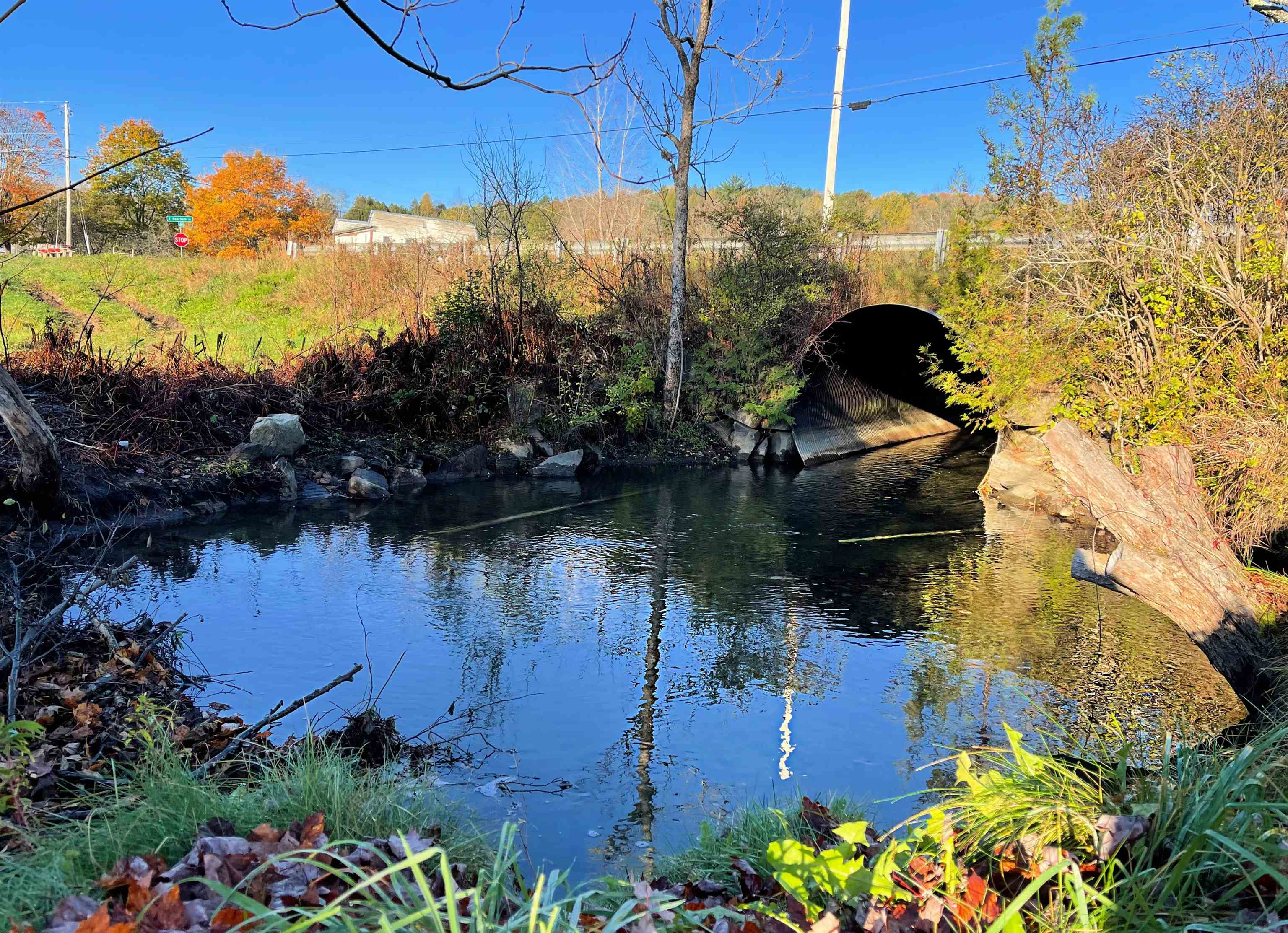 104 Thaddeus Stevens Road Peacham, VT 05862 - Photo 35 of 40