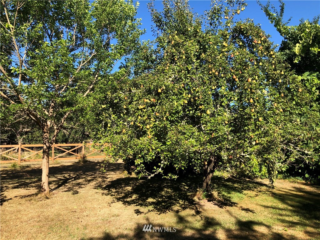 924 Cline Road Randle, WA 98377 - Photo 25 of 35 Gallery Image 25