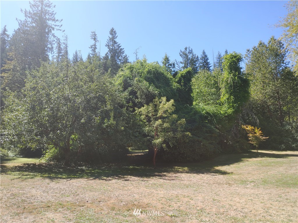 924 Cline Road Randle, WA 98377 - Photo 32 of 35 Gallery Image 32