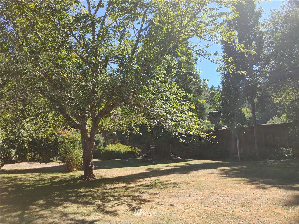 924 Cline Road Randle, WA 98377 - Photo 33 of 35 Gallery Image 33