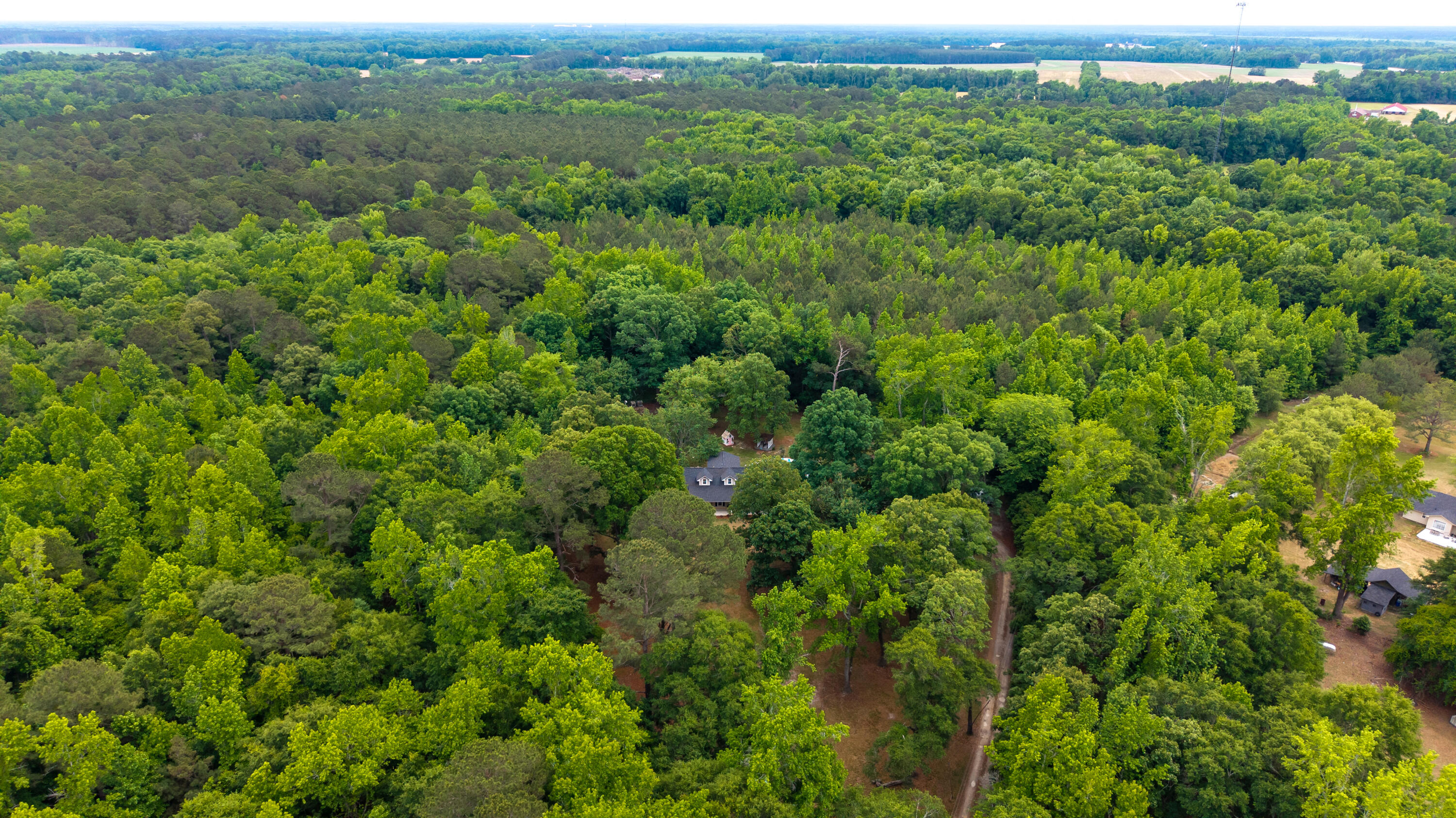 1436 Britton Road Sumter, SC 29153 - Photo 70 of 71