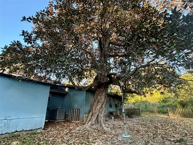 a backyard of a house with lots of tree