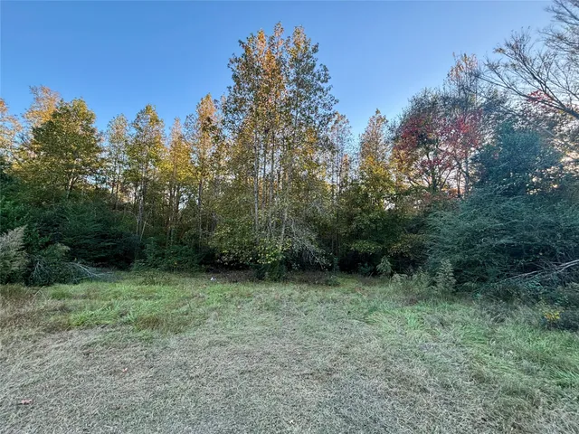 a view of outdoor space with trees all around