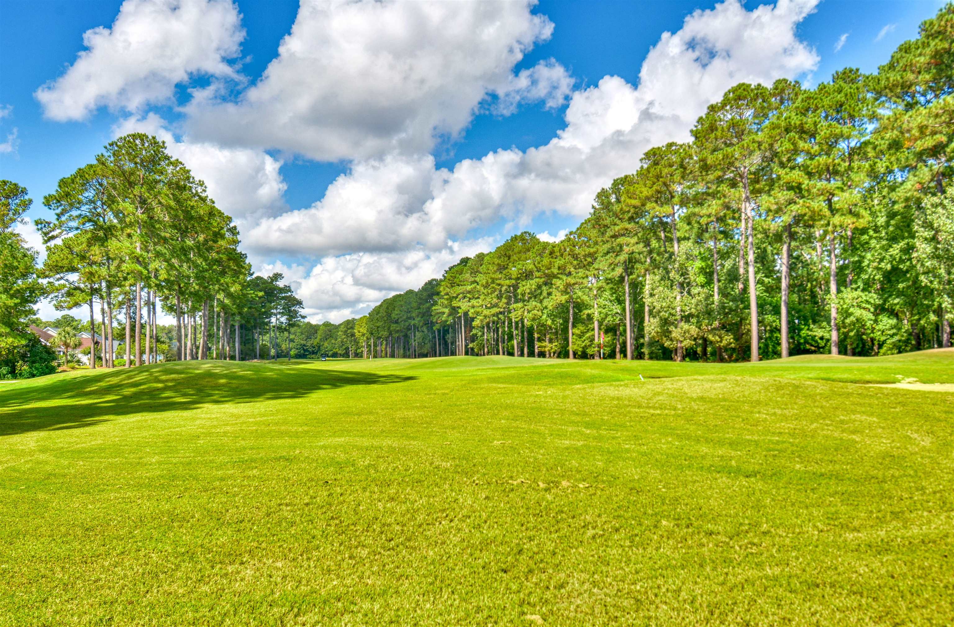 1201 Harrogate Court Murrells Inlet, SC 29576 - Photo 41 of 46 Gallery Image 41