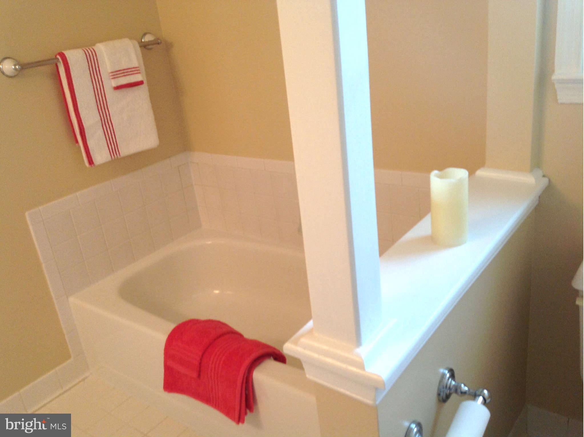 14903 Running Ridge Lane Silver Spring, MD 20906 - Photo 16 of 30 Bath (Master)