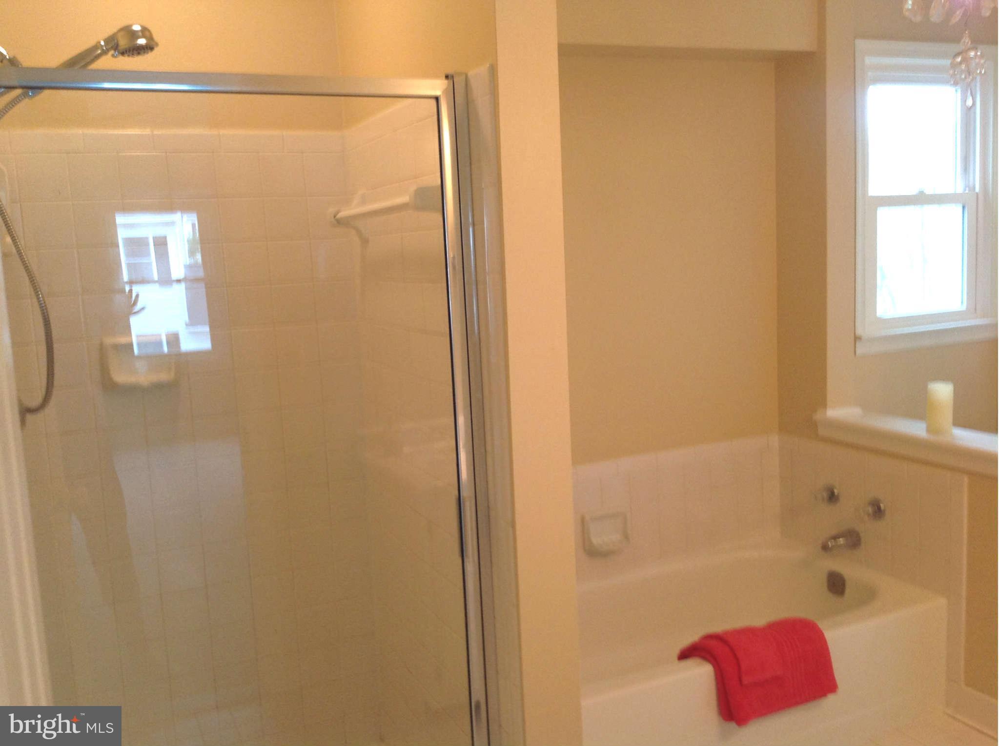 14903 Running Ridge Lane Silver Spring, MD 20906 - Photo 18 of 30 Bath (Master)