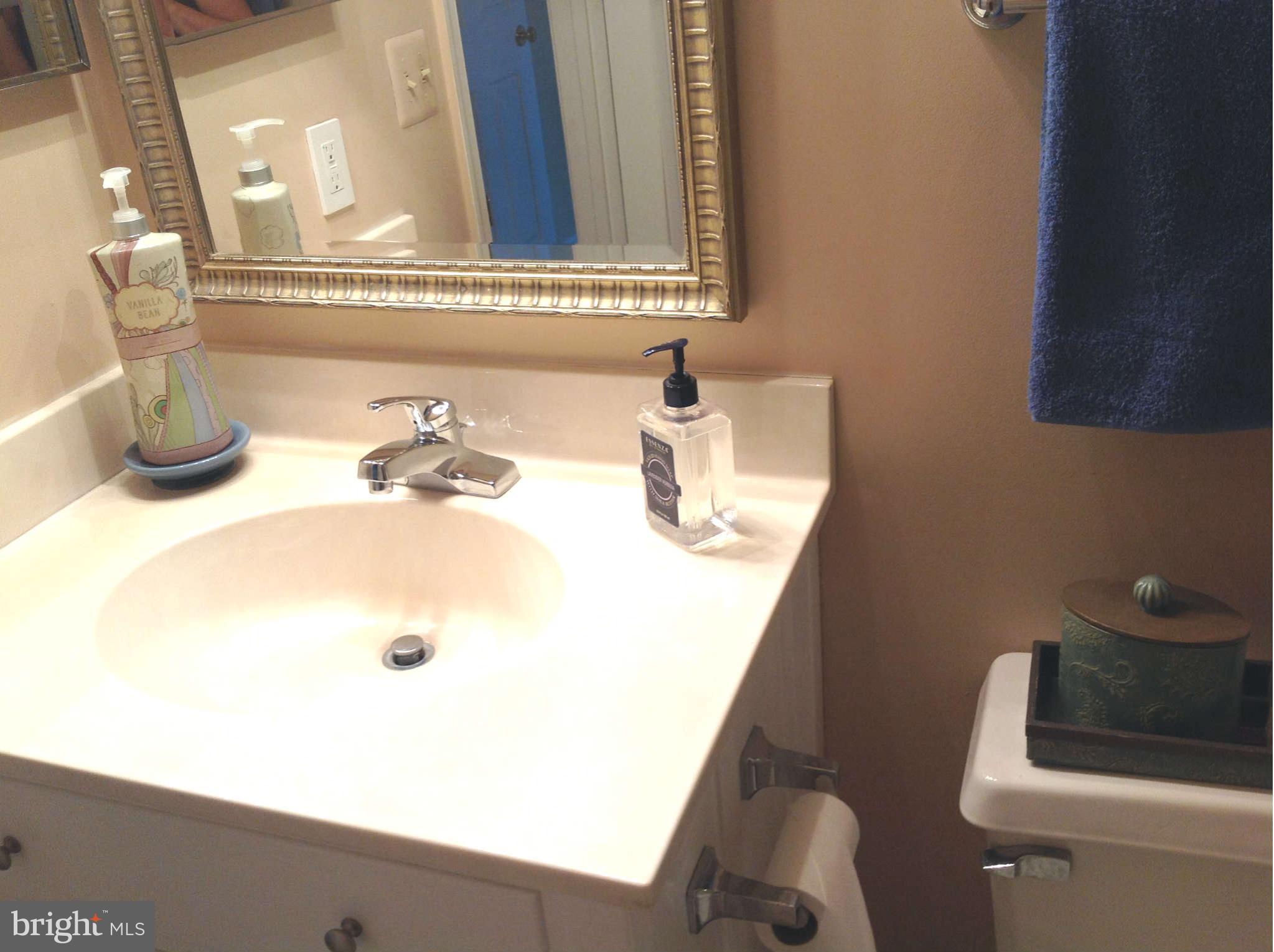 14903 Running Ridge Lane Silver Spring, MD 20906 - Photo 20 of 30 Bath