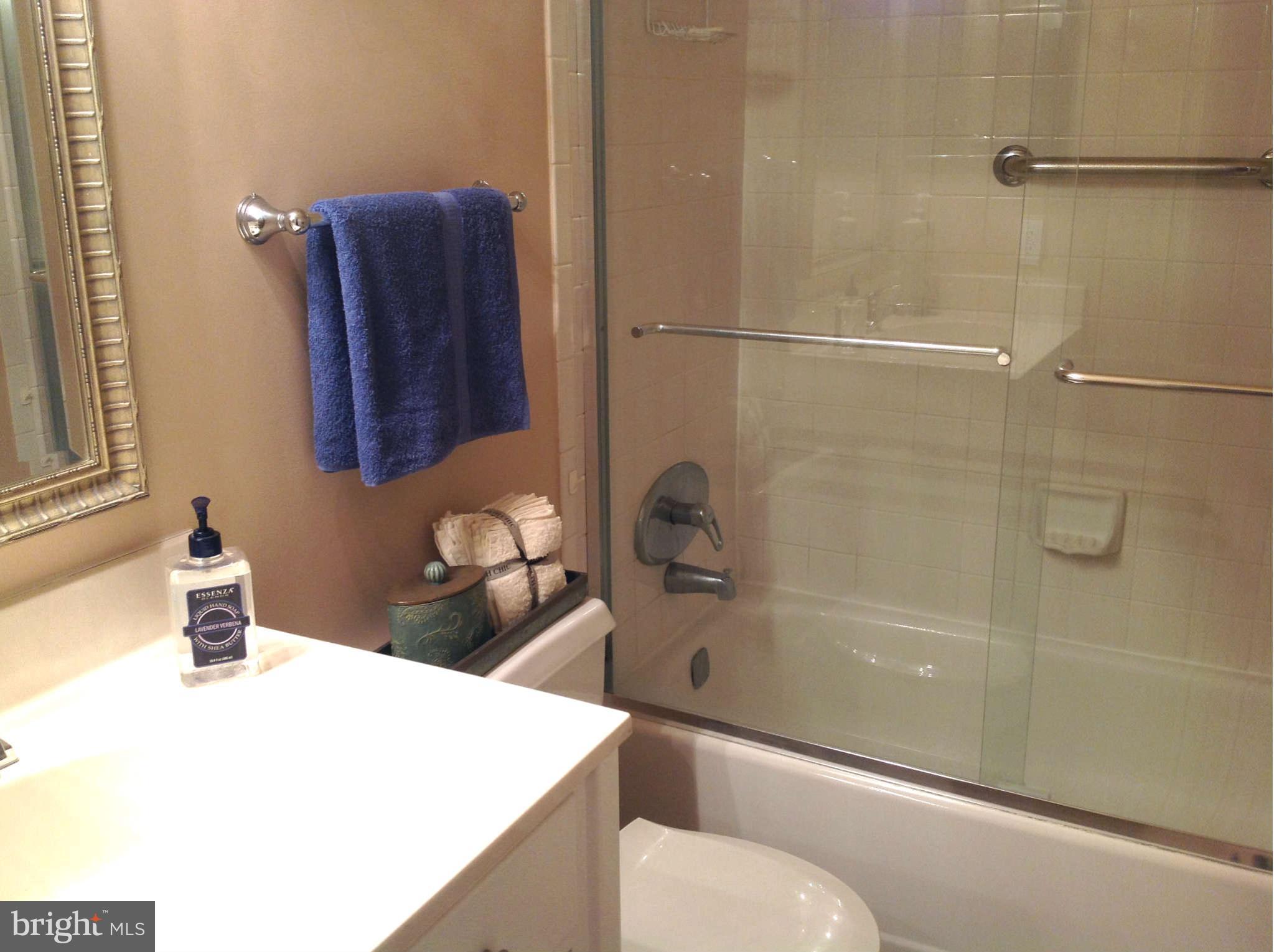 14903 Running Ridge Lane Silver Spring, MD 20906 - Photo 21 of 30 Bath