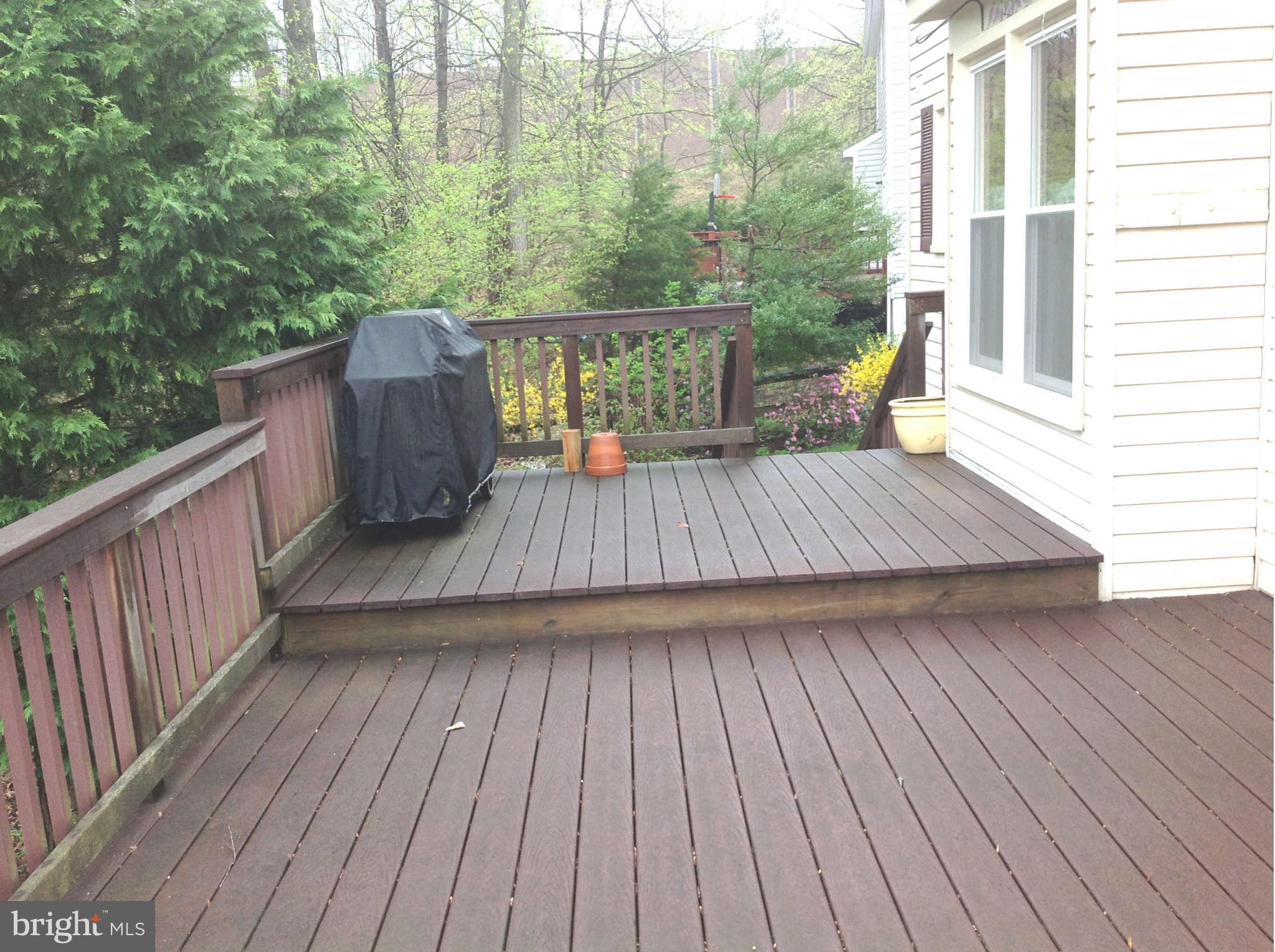 14903 Running Ridge Lane Silver Spring, MD 20906 - Photo 28 of 30 Exterior (Rear)