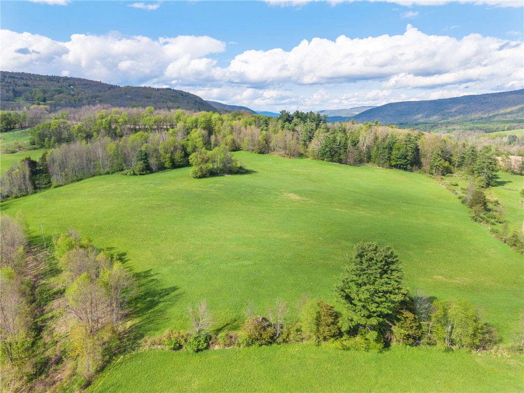 Westkill Road North Blenheim, NY 12131 - Photo 3 of 38