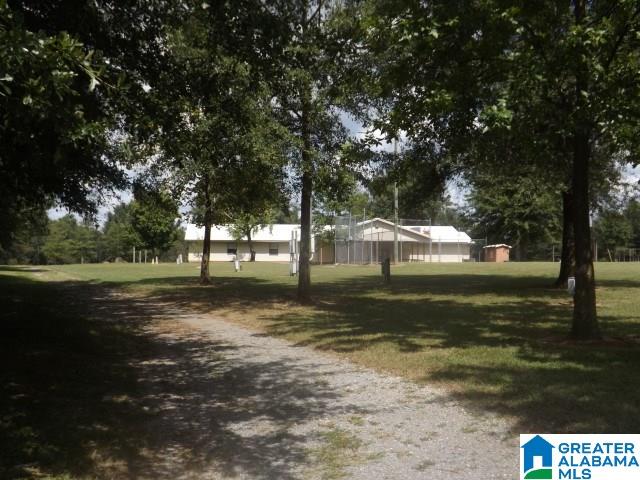 435 Wow Road, Unit 59 Blountsville, AL 35031 - Photo 2 of 49