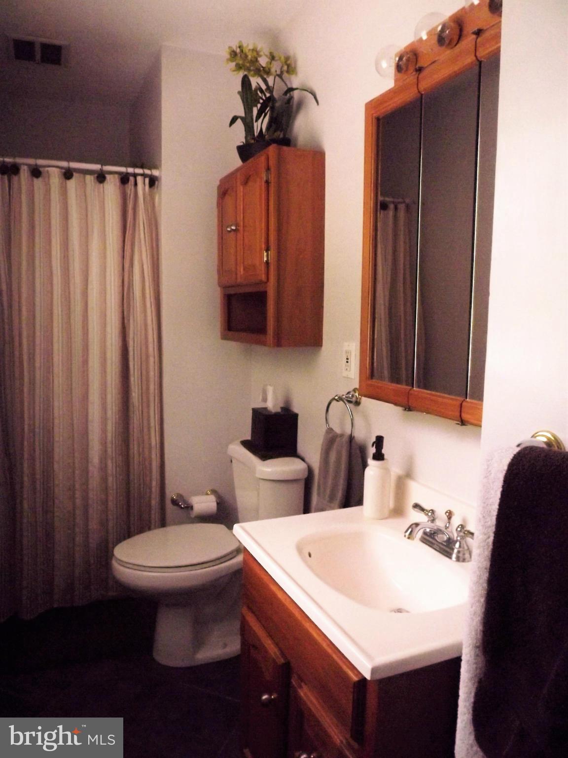 1511 Pattison Road Baltimore, MD 21221 - Photo 20 of 29 Bath (Master)