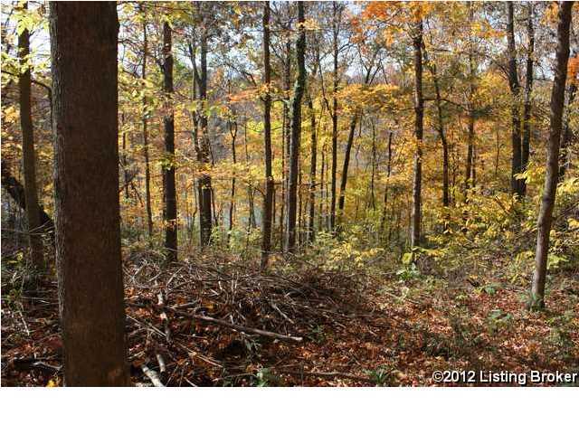 1504 Country Paradise Road Leitchfield, KY 42754 - Photo 15 of 24 Additional Photo