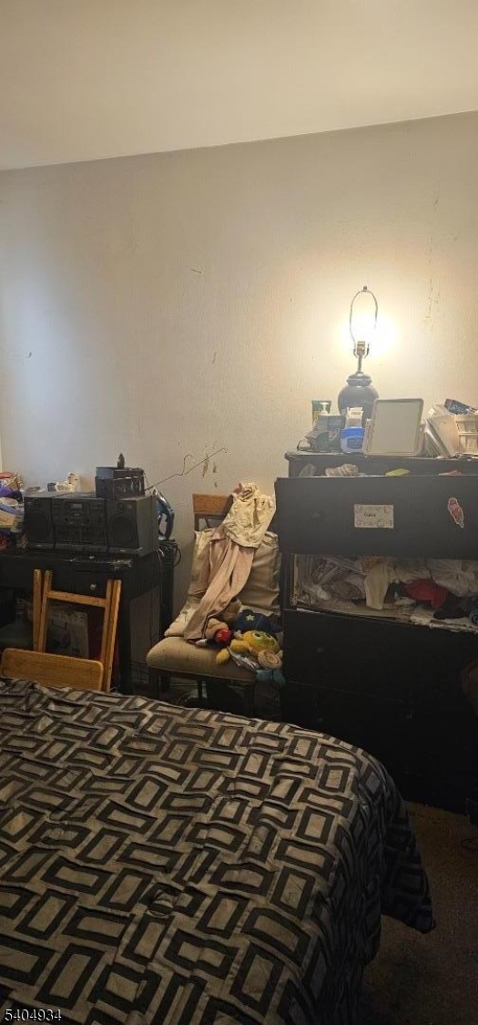 378 Valley Street, Unit A2 South Orange, NJ 07079 - Photo 15 of 20