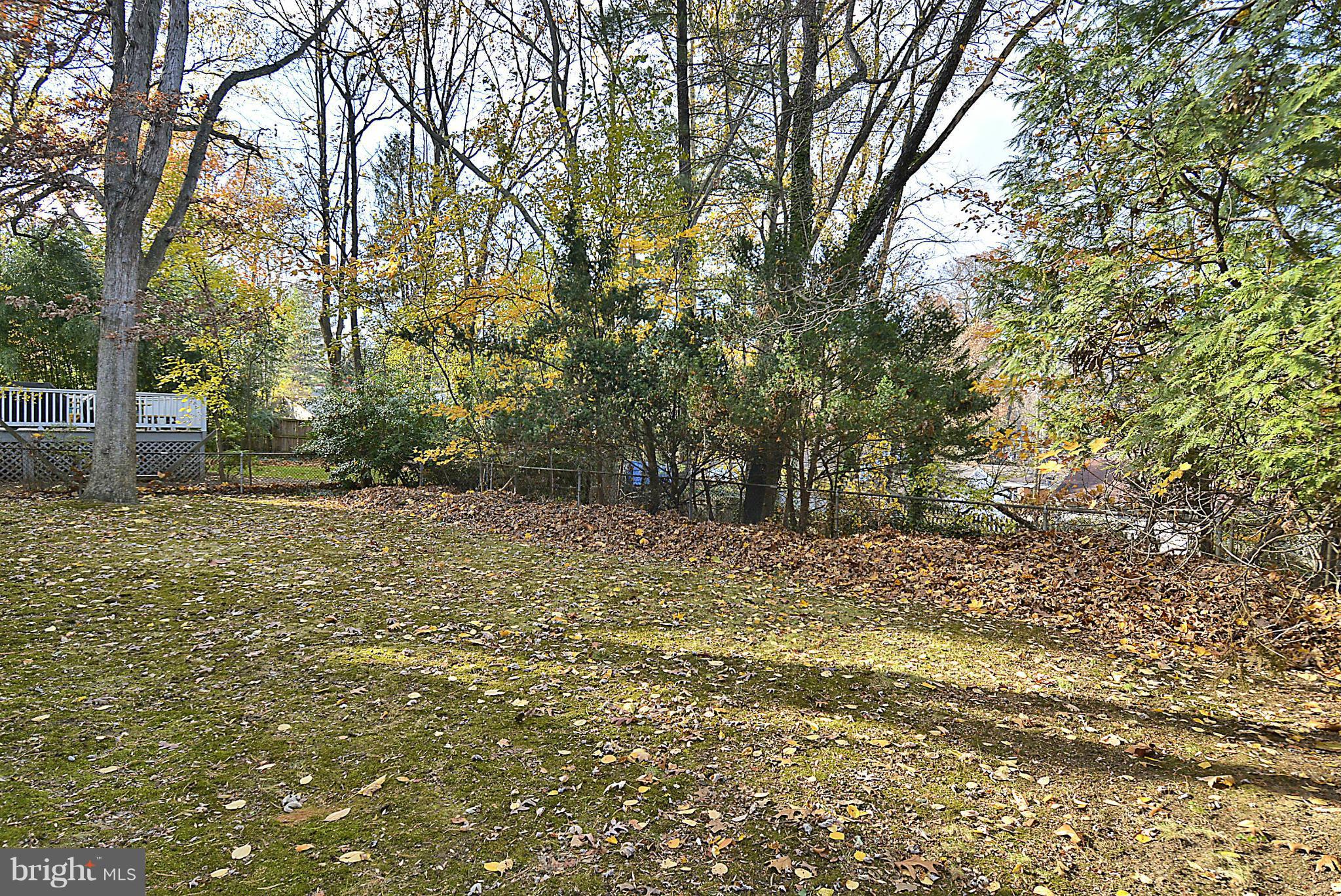 415 St Lawrence Drive Silver Spring, MD 20901 - Photo 25 of 30 View from Back