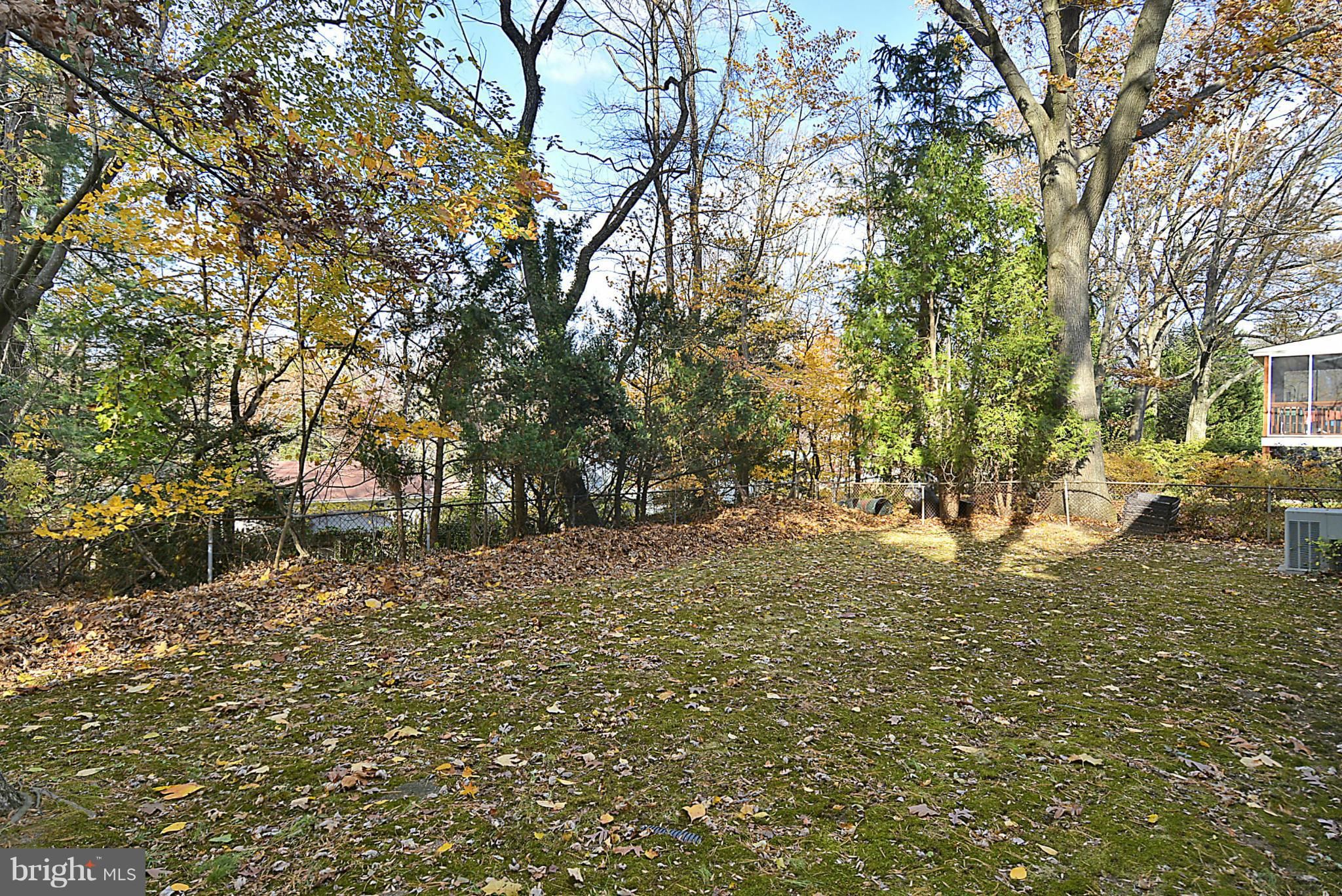 415 St Lawrence Drive Silver Spring, MD 20901 - Photo 27 of 30 Back Yard