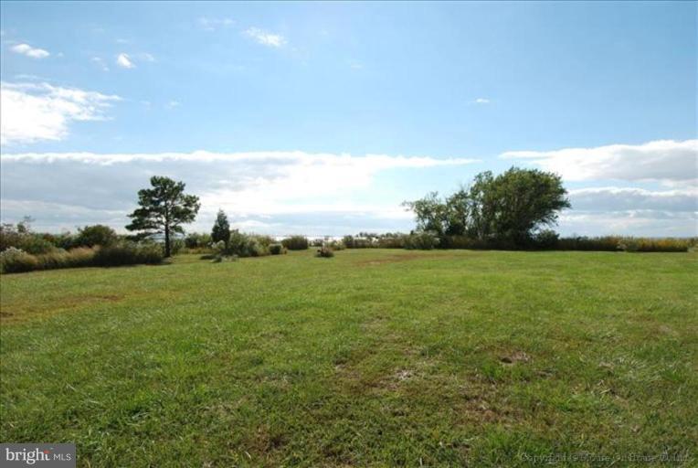 5442 Ragged Point Road Cambridge, MD 21613 - Photo 6 of 28 Back yard