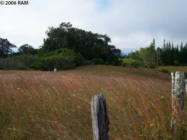 0 Awalau Road, Unit 15 Haiku, HI 96708 - Photo 4 of 11 a view of a field with trees in the background