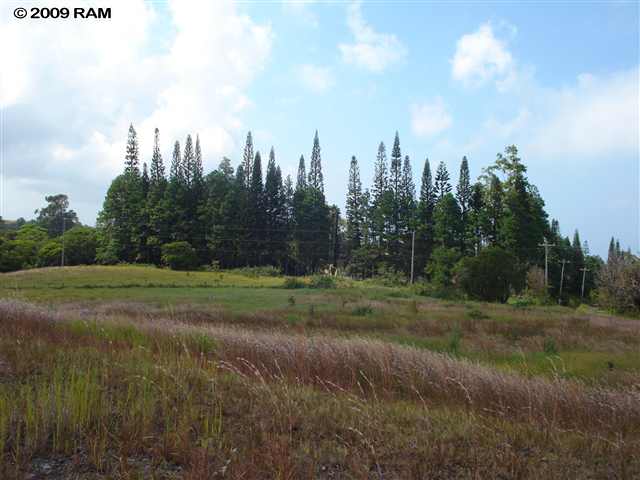 0 Awalau Road, Unit 15 Haiku, HI 96708 - Photo 10 of 11 a view of a field with trees in background