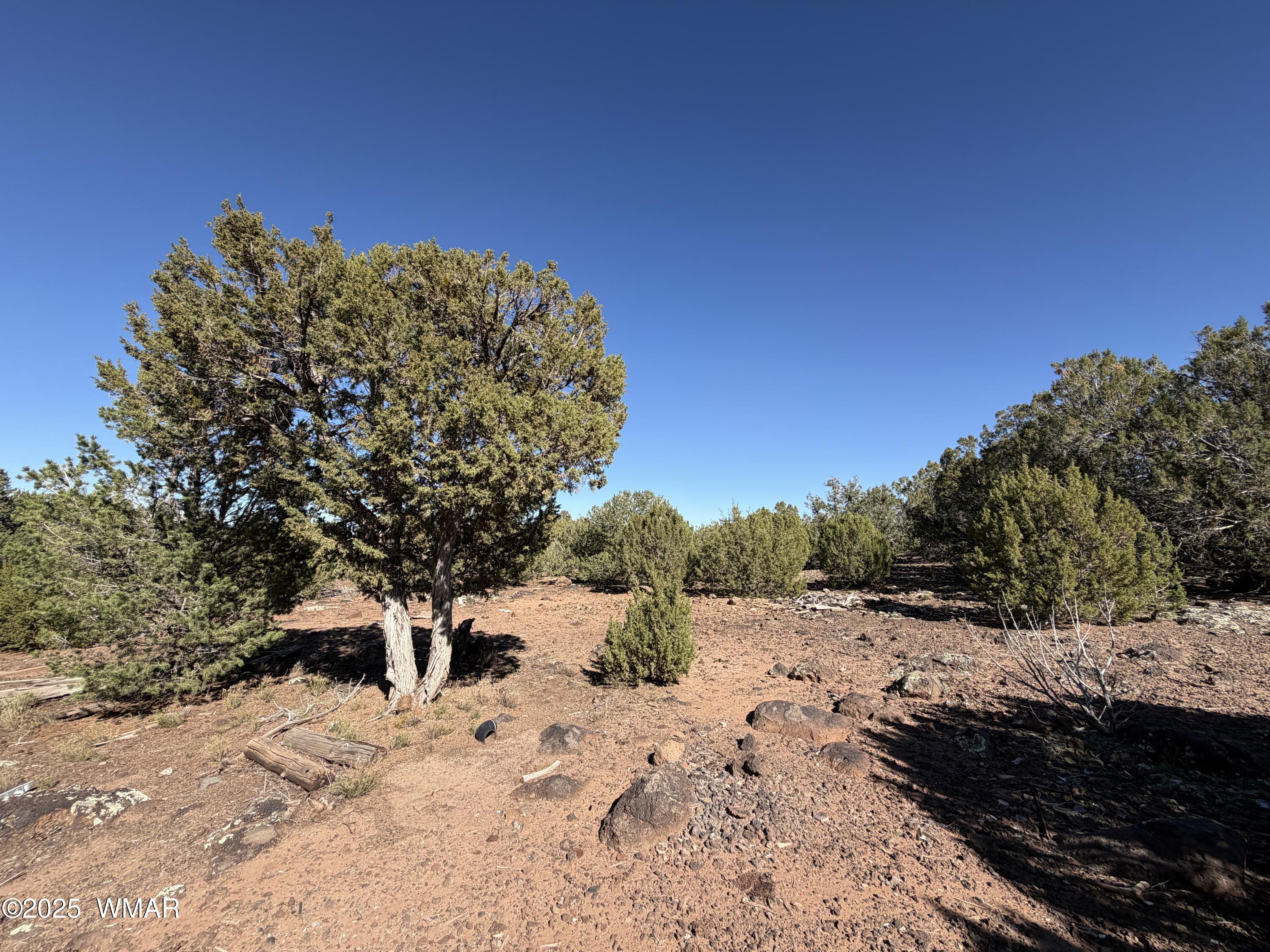 4 Pinon Concho, AZ 85924 - Photo 2 of 7