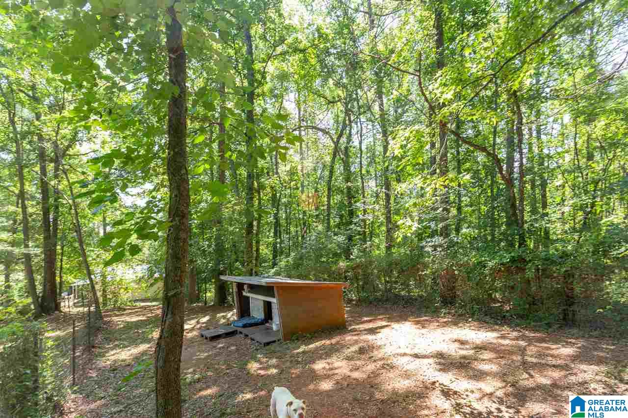 6674 Highway 431 Heflin, AL 36264 - Photo 48 of 50