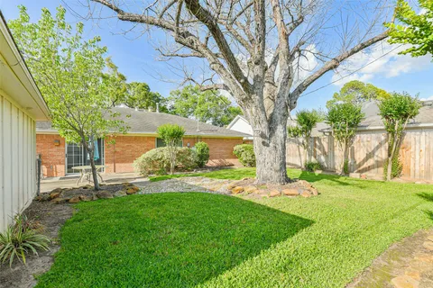 a view of a yard with a tree