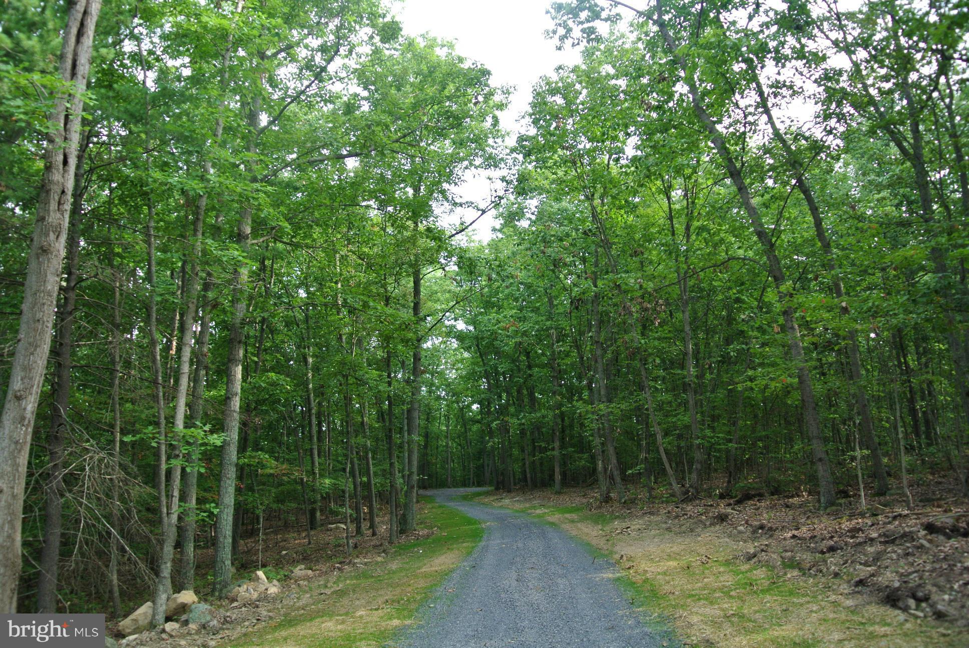 0 Alum Springs Road Rixeyville, VA 22737 - Photo 3 of 14 Graveled, level driveway to house site