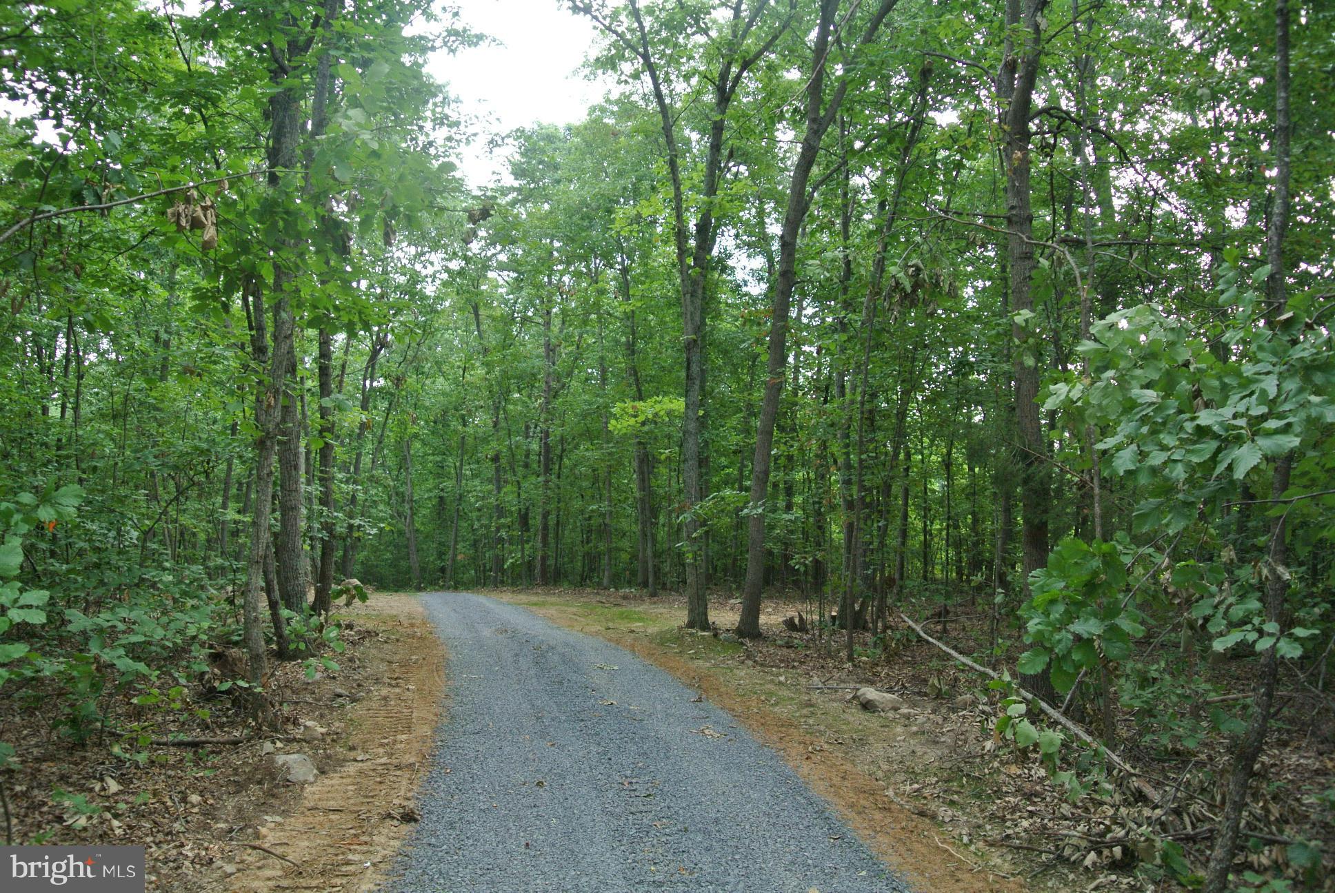 0 Alum Springs Road Rixeyville, VA 22737 - Photo 8 of 14 Access