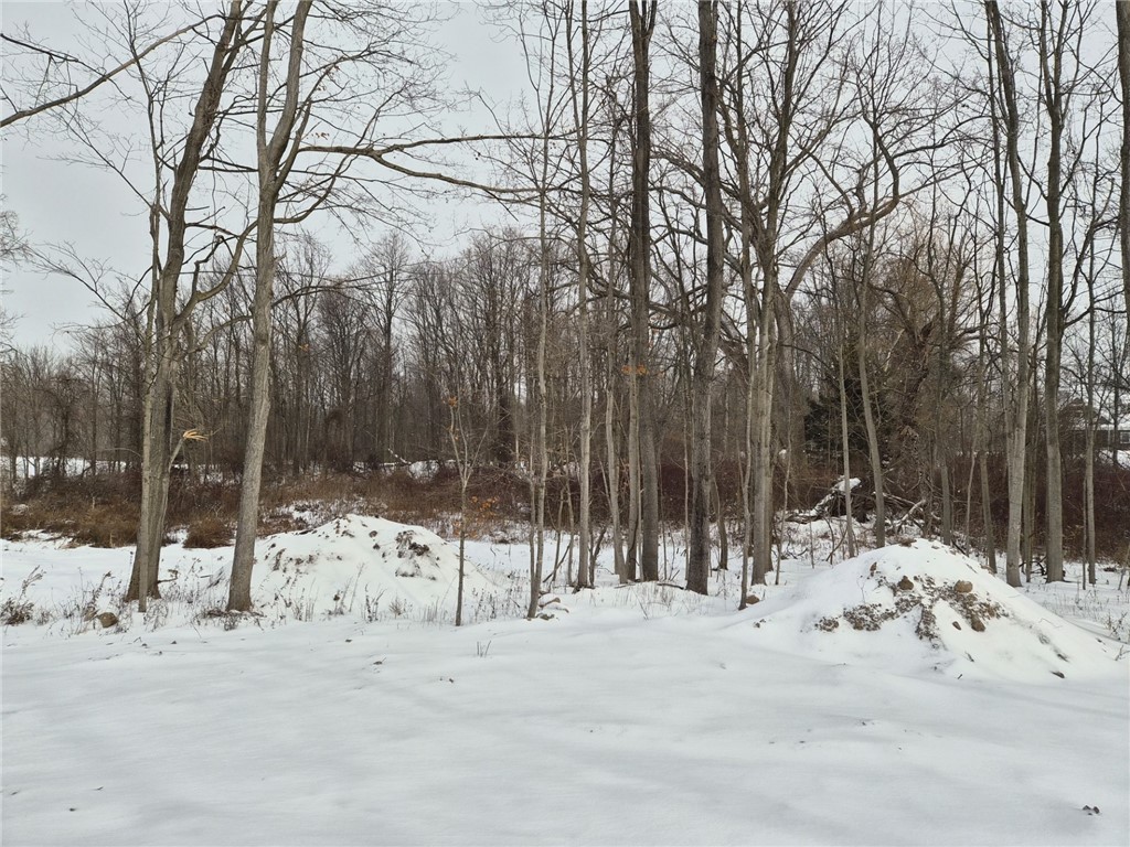 7078 Ontario Center Road Ontario, NY 14519 - Photo 5 of 7 Private back yard