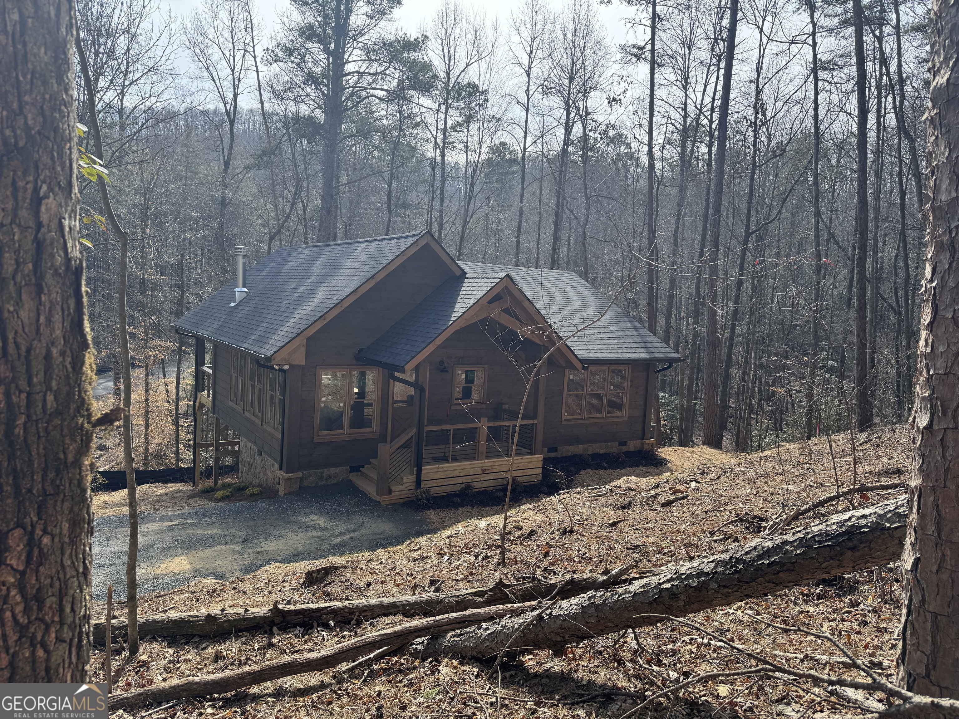 639 Moreland Drive Blue Ridge, GA 30522 - Photo 6 of 24 a house with trees in front of it