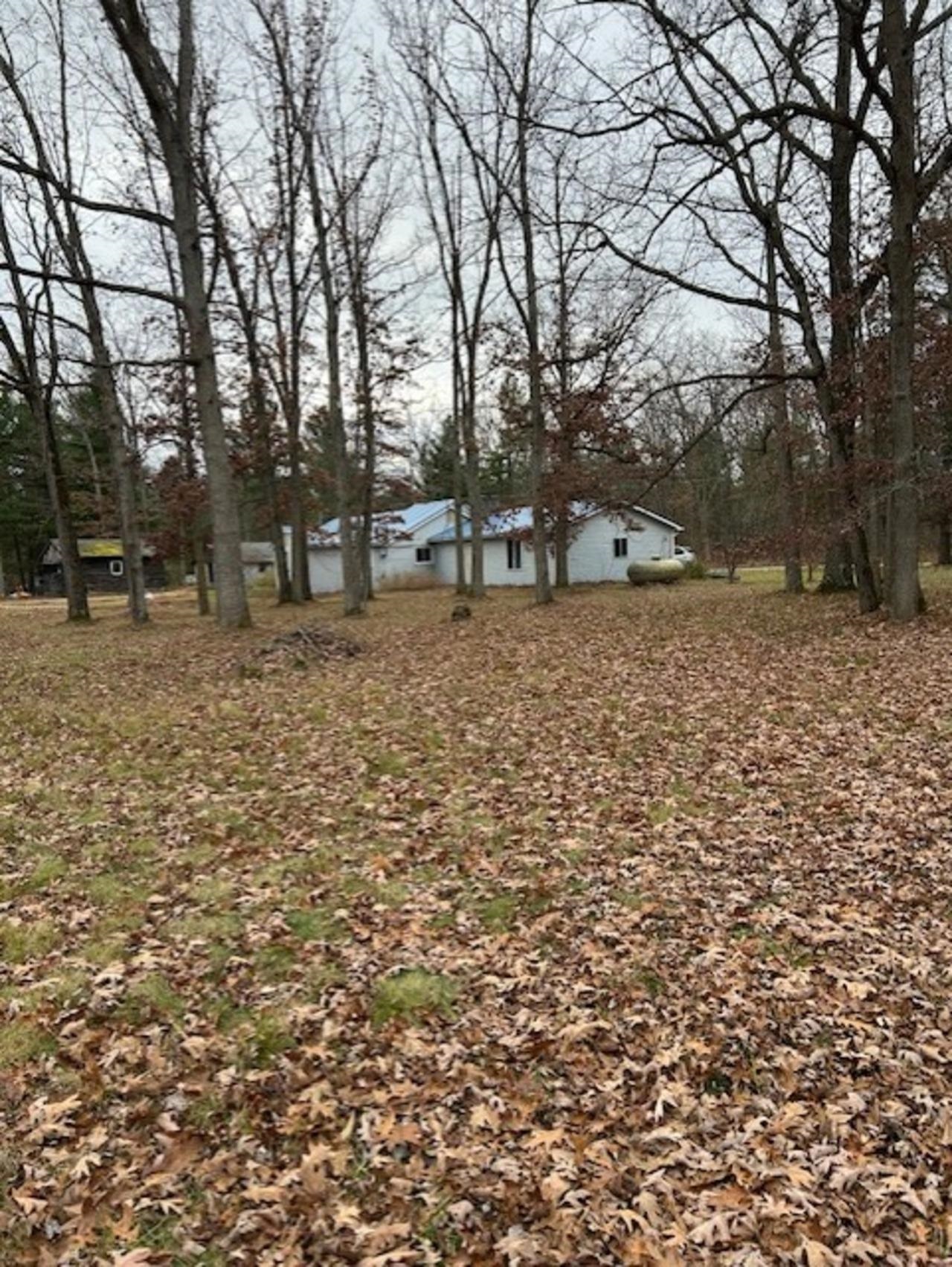 4864 Goodar Road South Branch, MI 48761 - Photo 3 of 15