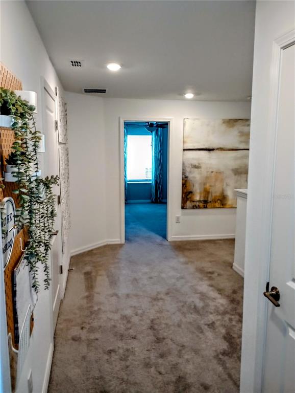 21415 Darter Road Land O' Lakes, FL 34638 - Photo 15 of 27 en empty room with painted walls