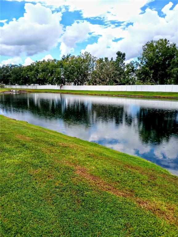 21415 Darter Road Land O' Lakes, FL 34638 - Photo 24 of 27 a view of a lake with houses in the back
