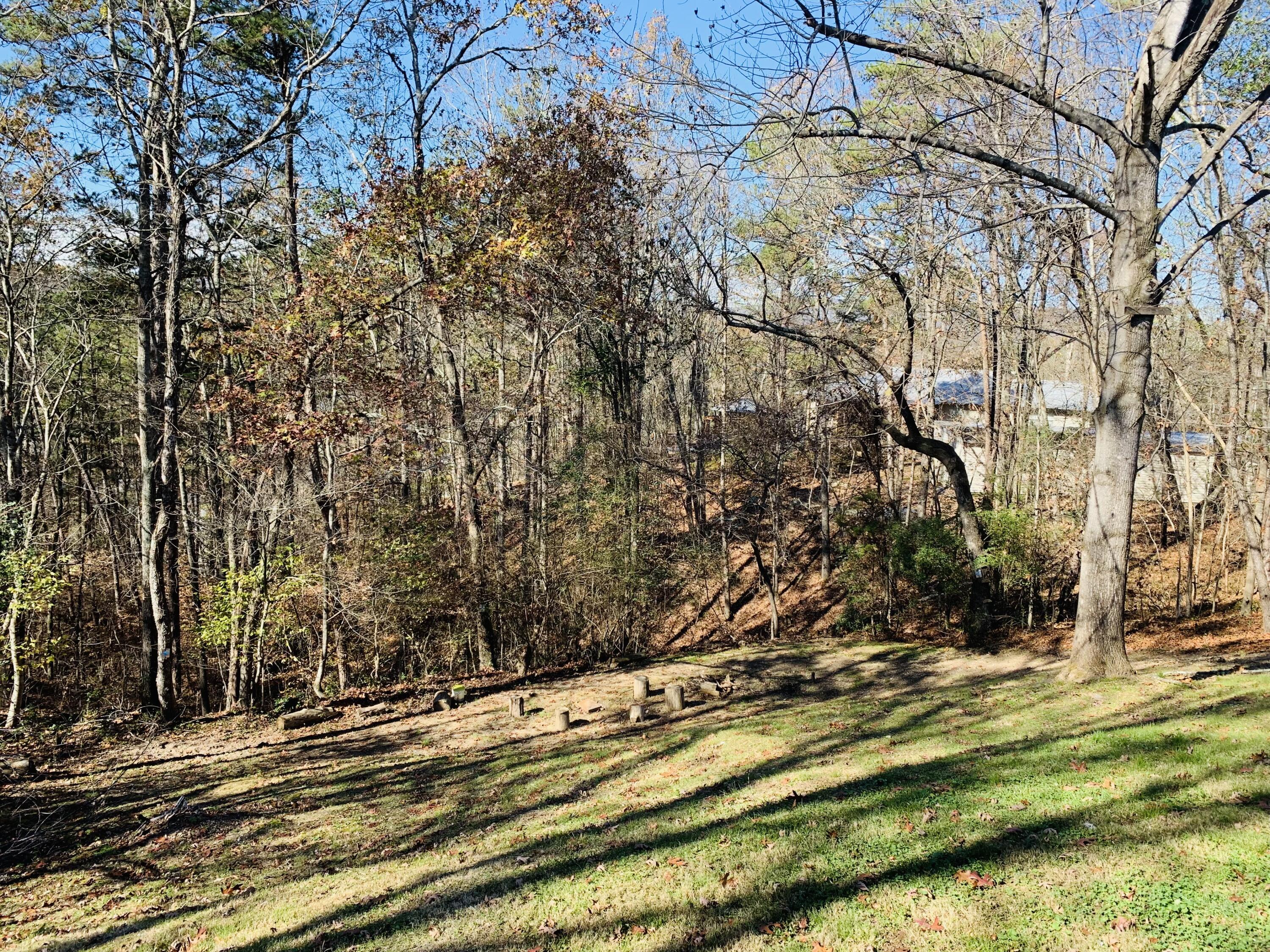 7133 Cane Hollow Road Hixson, TN 37343 - Photo 4 of 36 Back yard