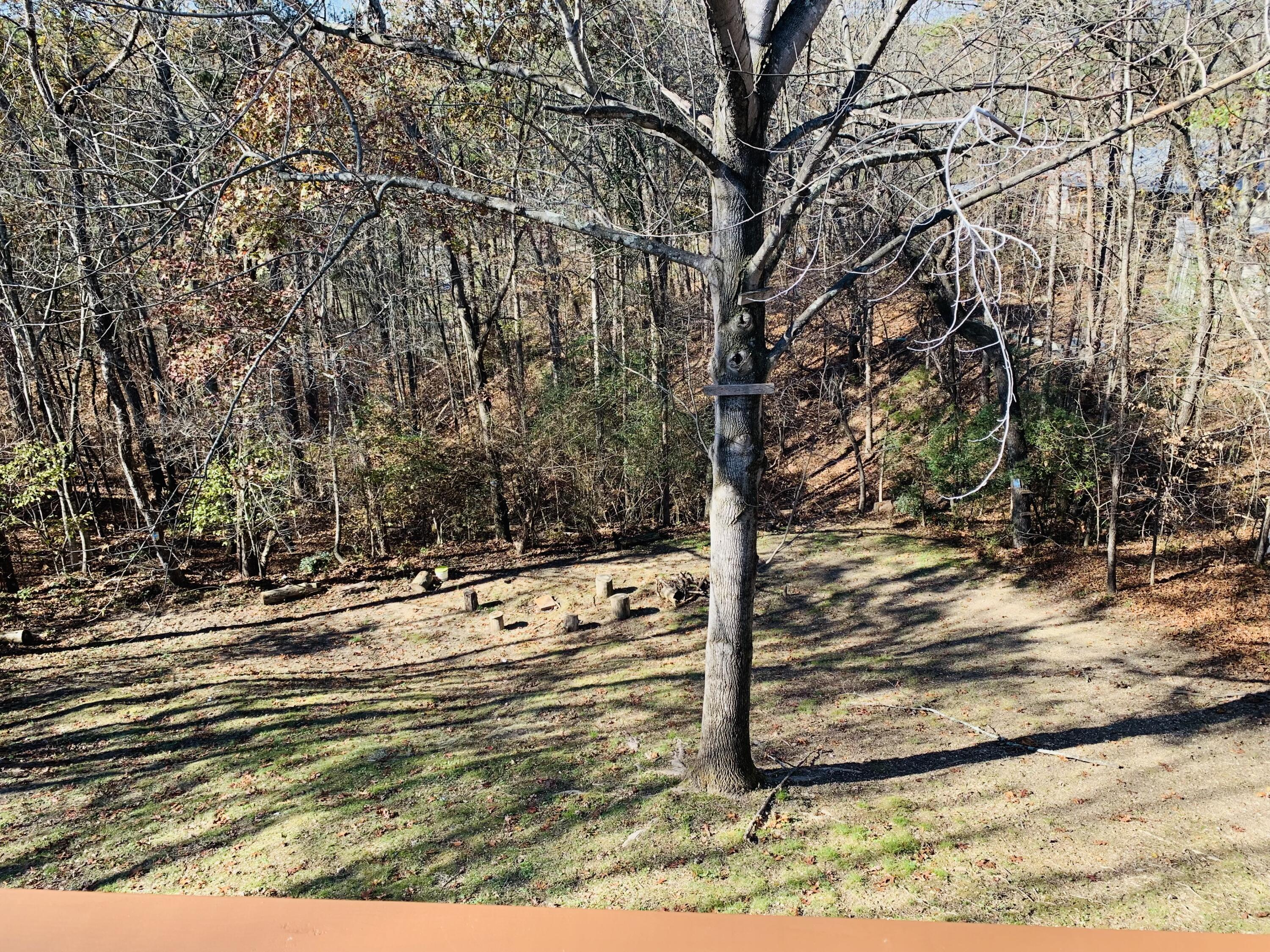 7133 Cane Hollow Road Hixson, TN 37343 - Photo 10 of 36 Back yard
