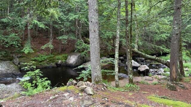 277 Buckfield Road Paris, ME 04281 - Photo 6 of 26 brook