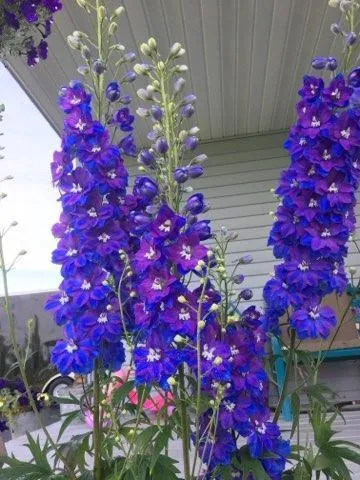 $410,000 | 11576 Bristol Road, Chisago City, MN 55013